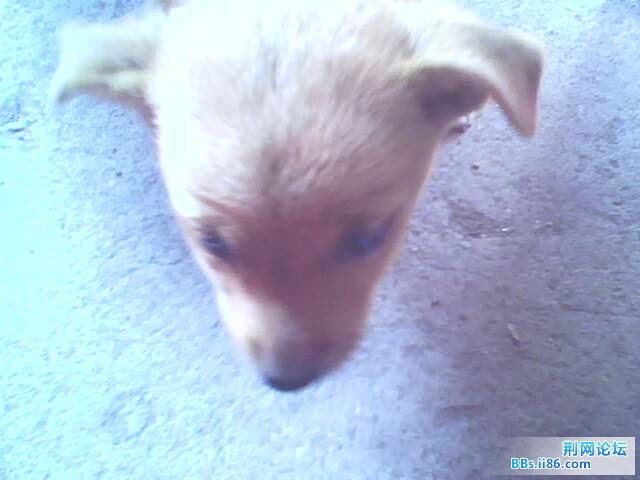 IMG0195A.jpg