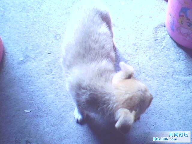 IMG0193A.jpg