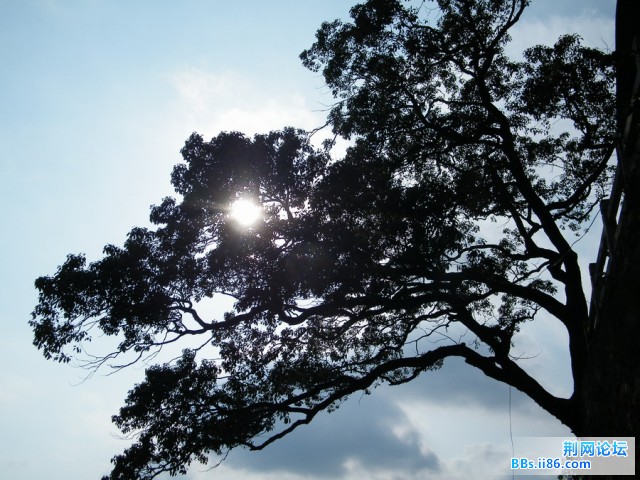 DSCF3532.JPG