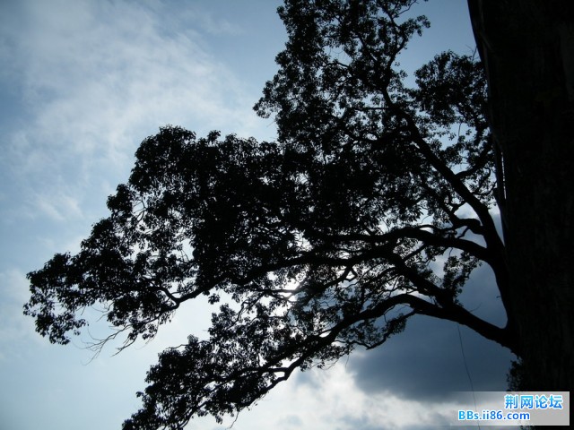 DSCF3542.JPG
