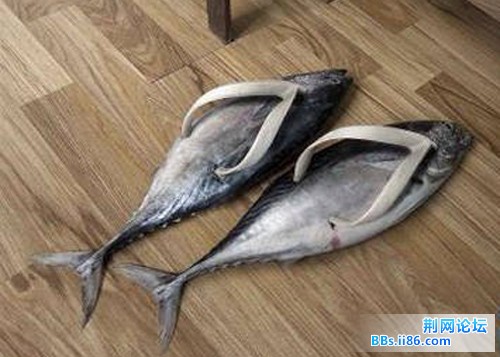 xin_482100619153773424351.jpg
