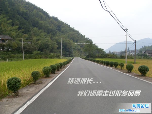 SDC12012.jpg