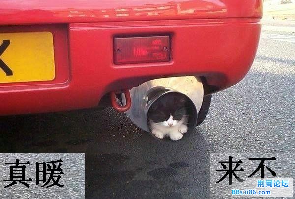 无标题.JPG