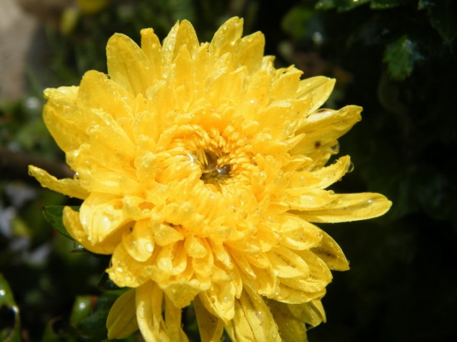 2-DSCF4802.JPG
