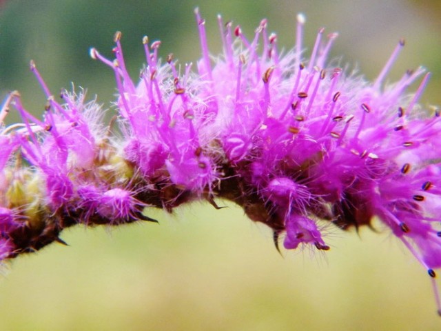 DSCF5634.JPG