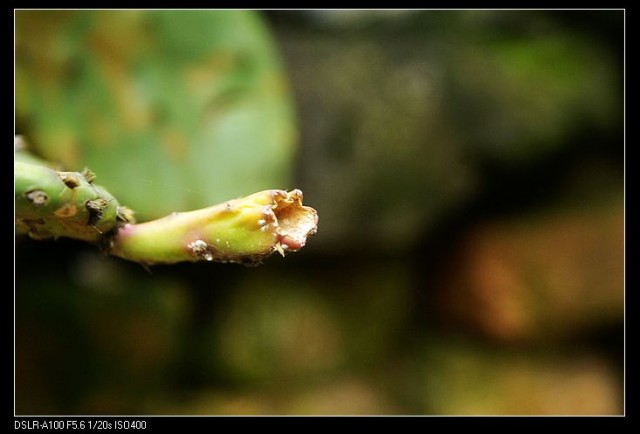 nEO_IMG_DSC02858.jpg