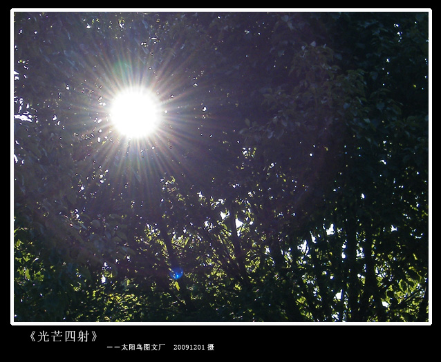DSCF5945光芒四射.JPG