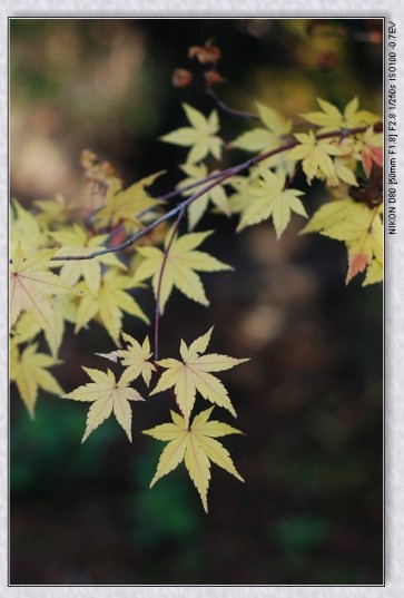 nEO_IMG_DSC_7824.jpg