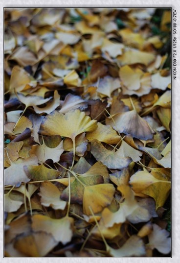 nEO_IMG_DSC_7894.jpg