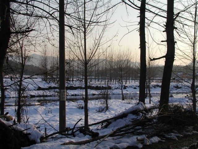111.jpg