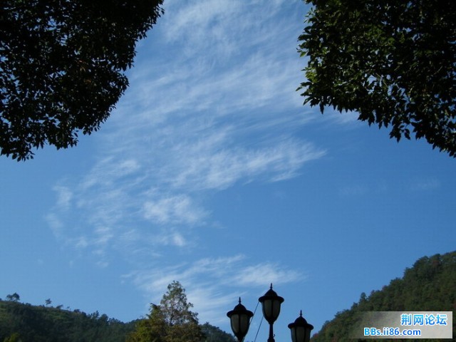 07屋前屋后DSCF5940.JPG