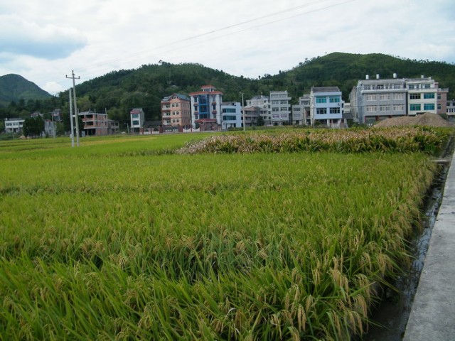 DSCF1474李宅基村3.JPG