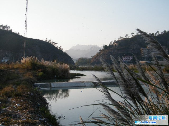 DSCF6169.JPG