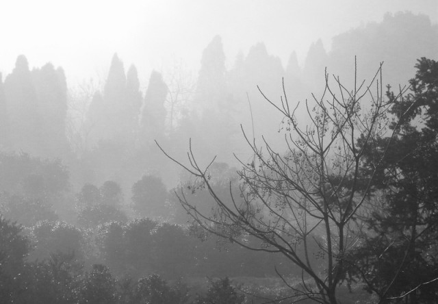 DSCF9051.JPG