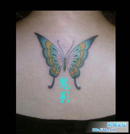 1f8c2efaf9ea938d9e5146d3.jpg