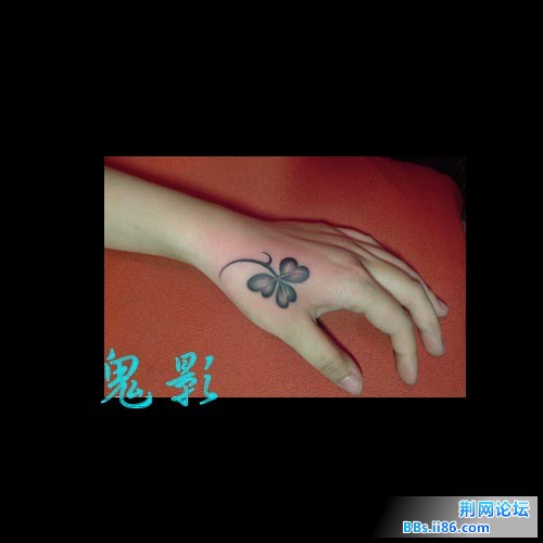 799a8813125f22846538dbd6.jpg