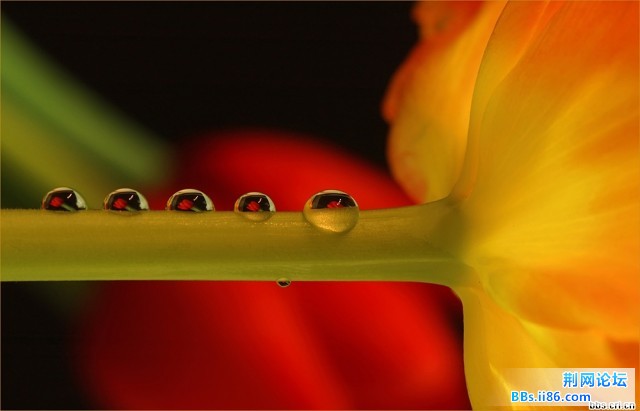 354_276906_b1140335cf82be2.jpg
