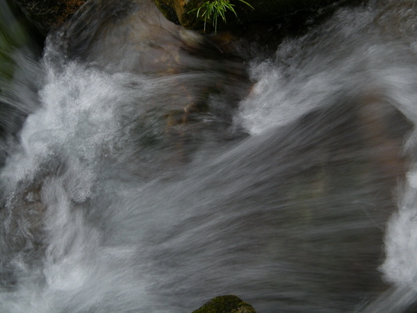 2DSCF9213.JPG