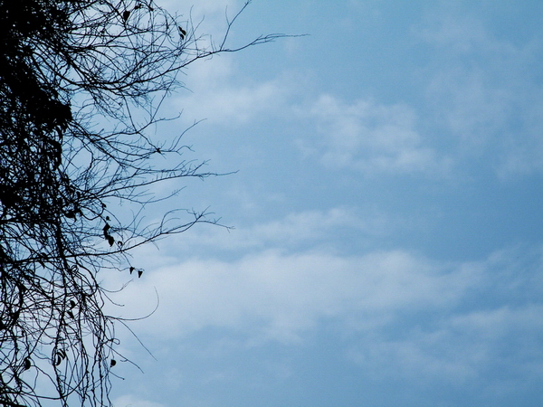 DSCF9353.JPG