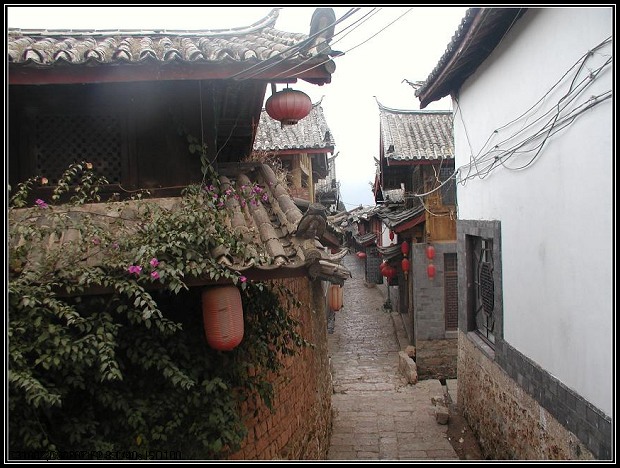 P1010103.JPG