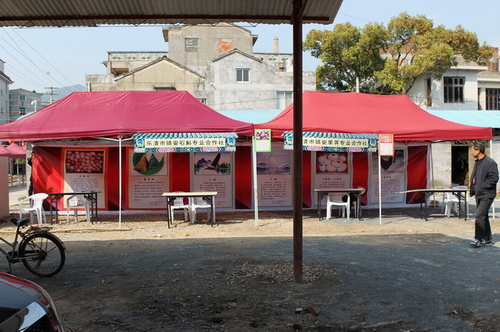 BI0E0128.JPG