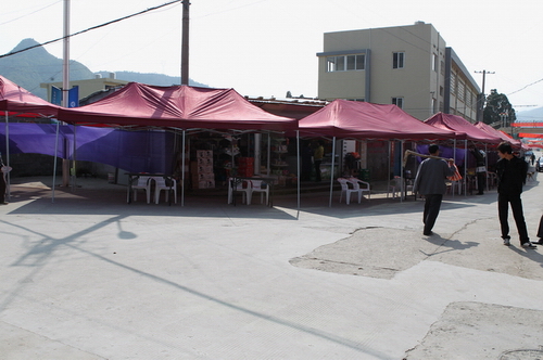 BI0E0125.JPG