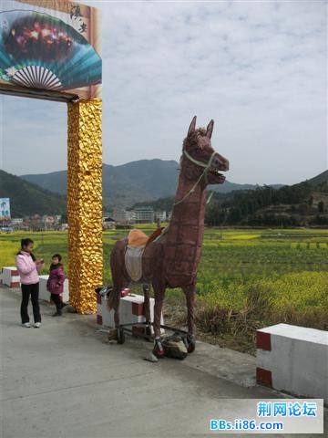 DSCF0140.JPG