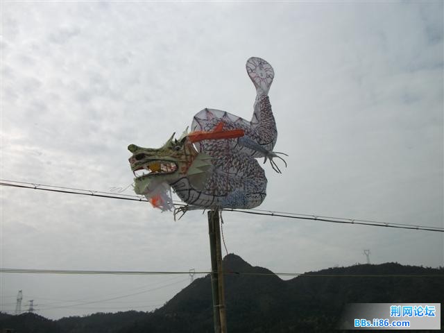 DSCF0167.JPG