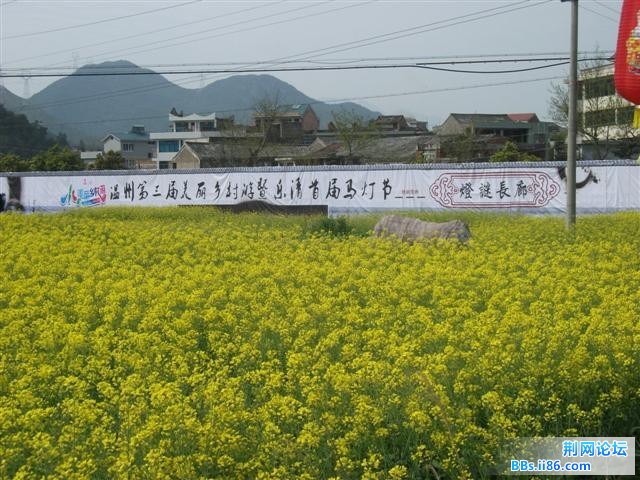 DSCF0174.JPG