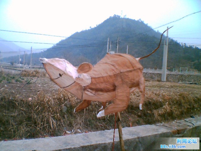 胆小的老鼠