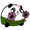 未命名.gif