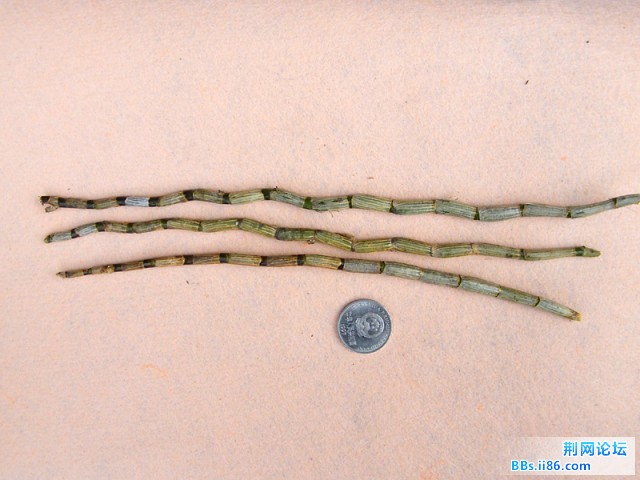 宝贝2.JPG
