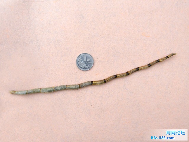 宝贝3.JPG