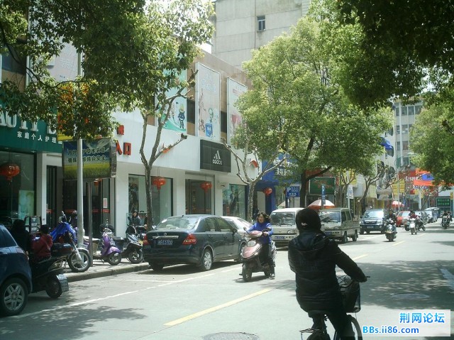 IMAG0020.JPG