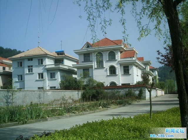 IMAG0012.JPG