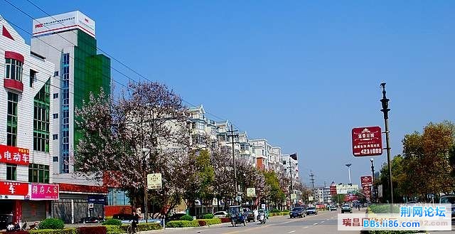 090520195052232f14556ae01a.jpg