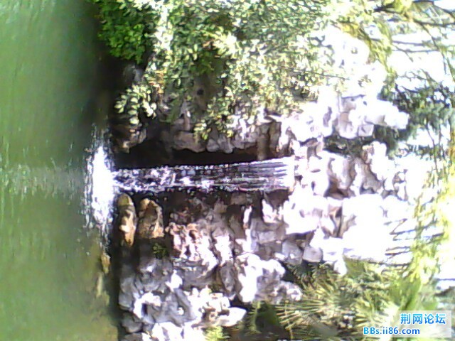 IMG0785A.jpg