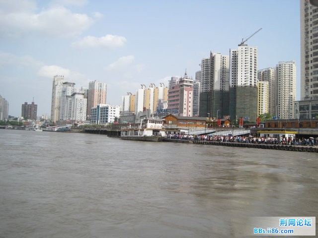 IMG_5349.jpg