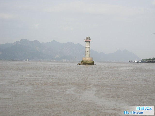IMG_5355.jpg