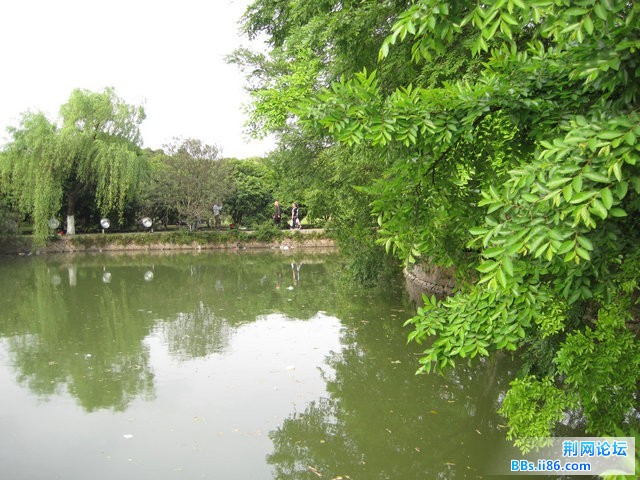 IMG_5405.jpg
