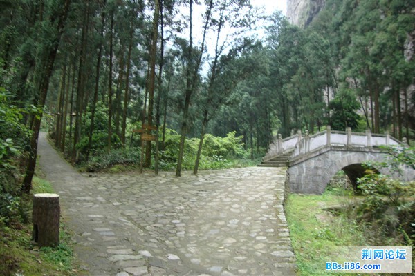 DSC02411_副本.jpg