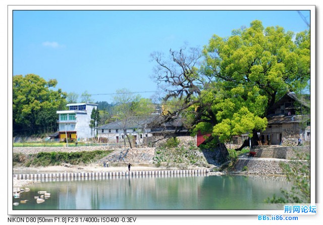 文成泰顺03.jpg