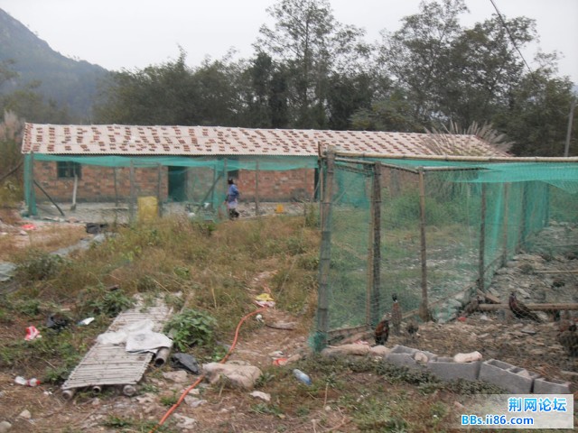SDC10287.JPG