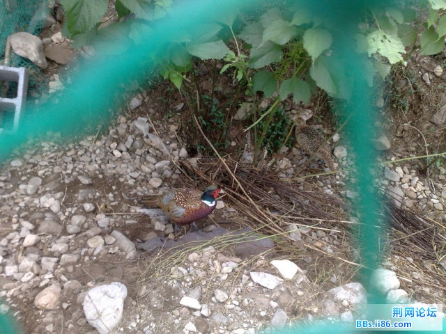 20090914030.jpg