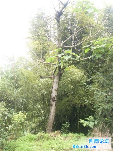 SDC15190.JPG