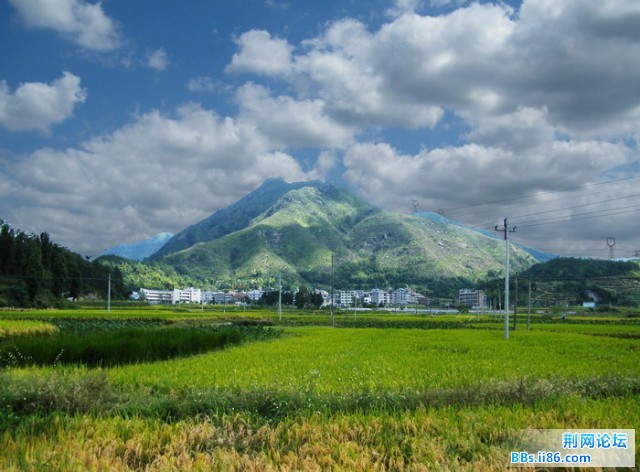 镇安乡下洋远景20091004（DSCF1396）.jpg