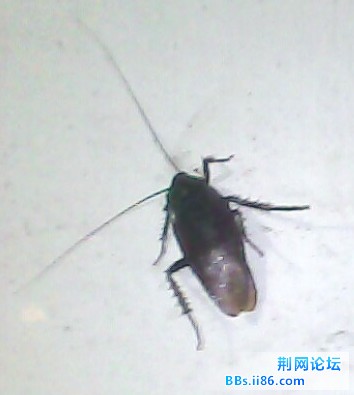 未命名2.jpg