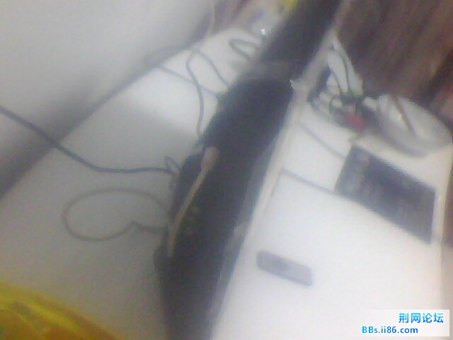 IMG0045A.jpg