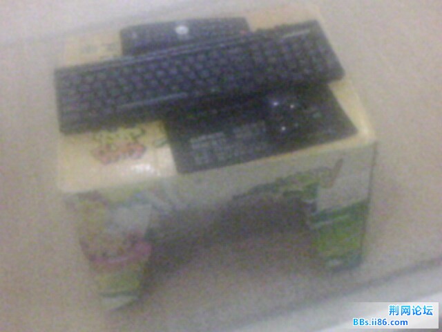 IMG0055A.jpg
