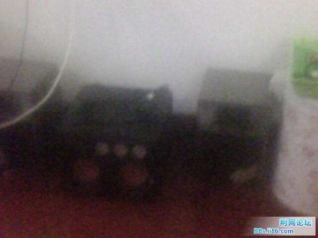 IMG0054A.jpg